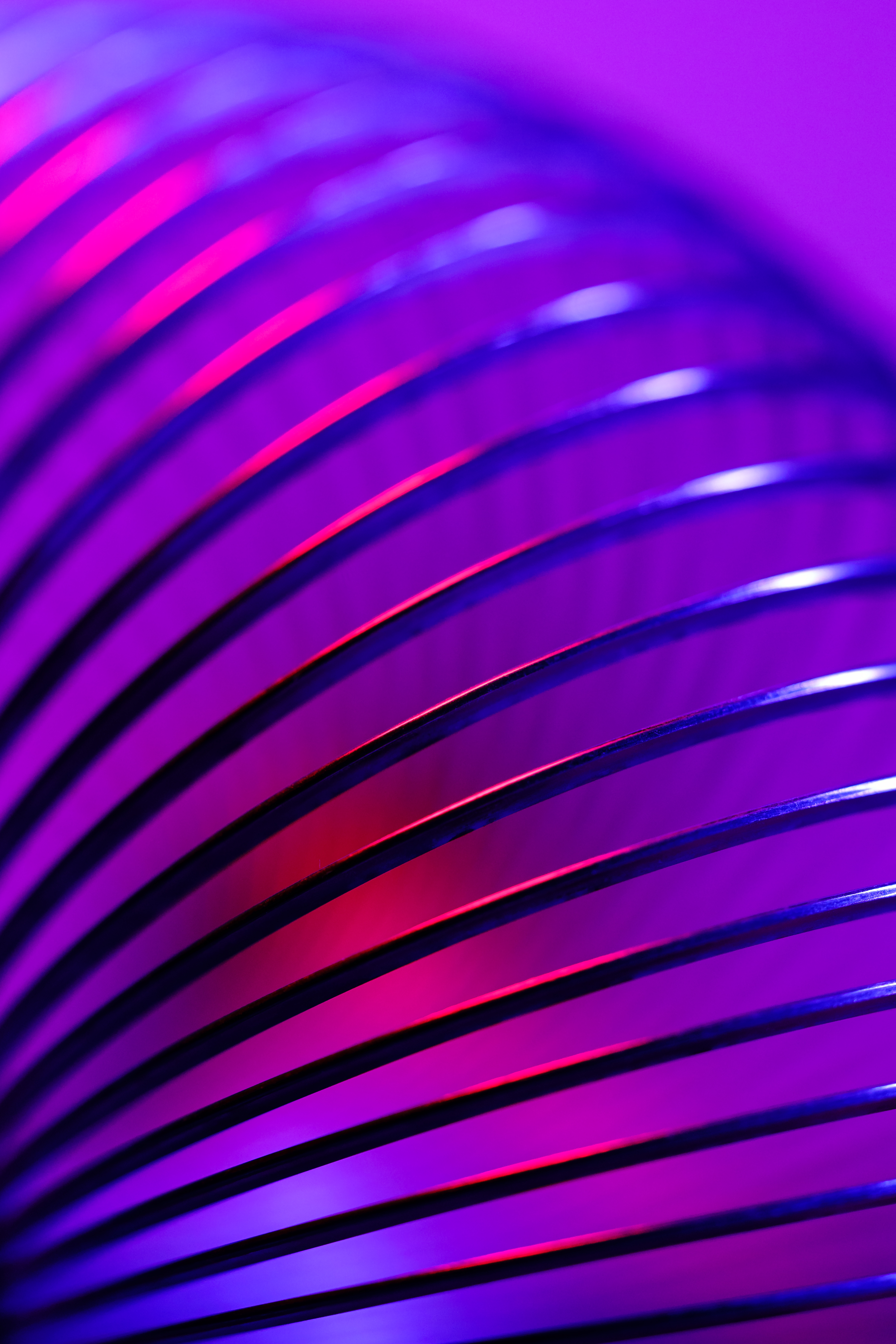 Coiled slinky on a neon background
